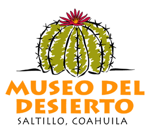 Museo del Desierto