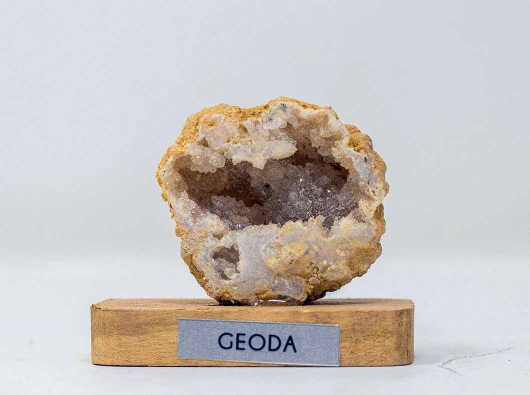 Geoda c/base
